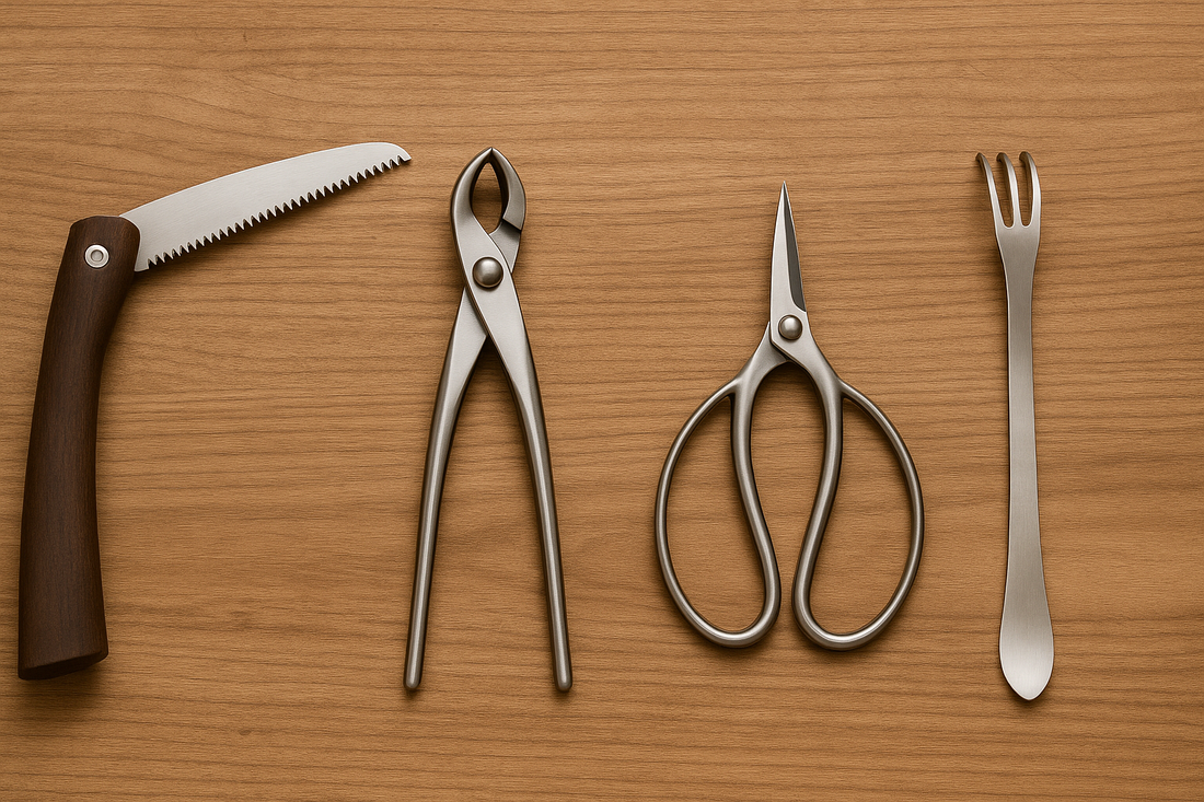 Bonsai gereedschap: de 10 belangrijkste tools voor beginners