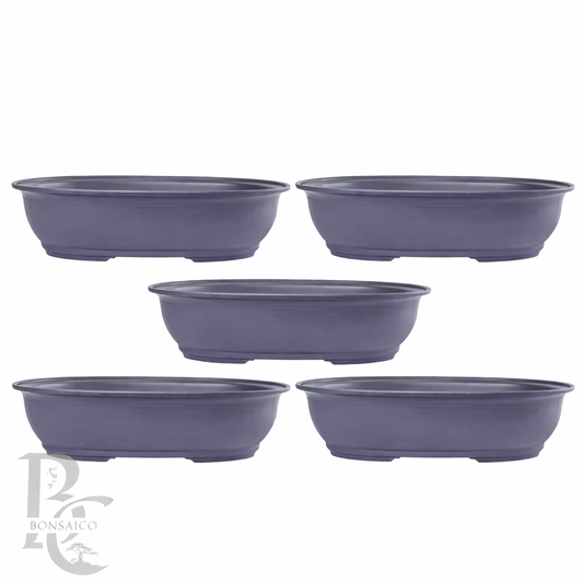 5-Pack Bonsai trainings pot ovaal 35cm