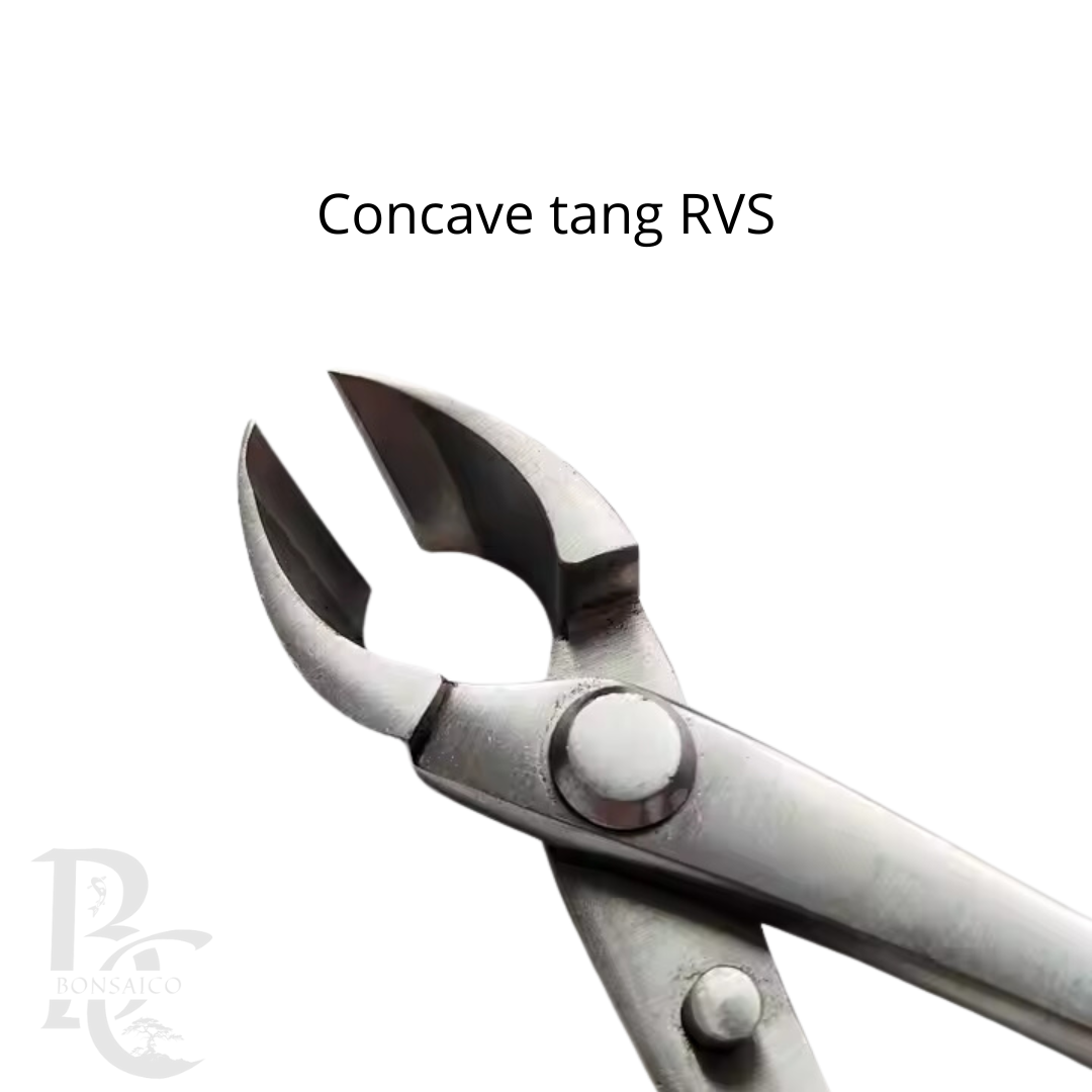 Concave tang RVS premium