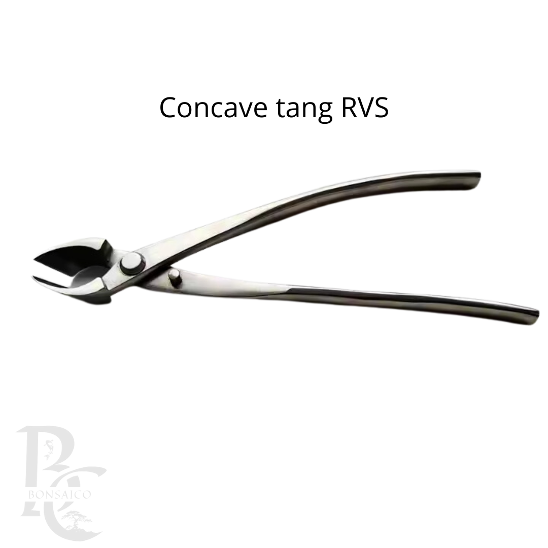 Concave tang RVS premium