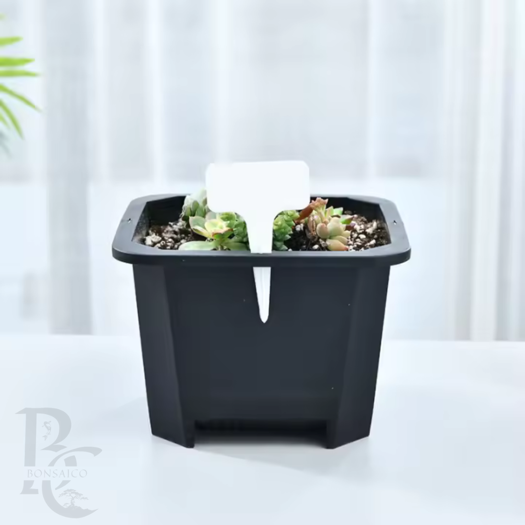 kweekpot vierkant 14,5cm laag