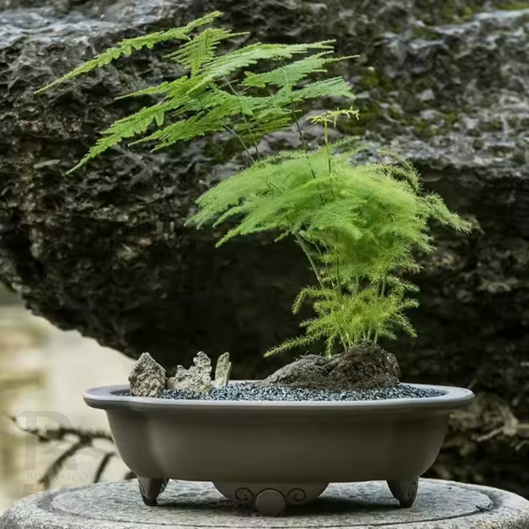 Luxe zware kunststof bonsai schaal ovaal 27cm